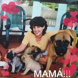 Meet your Posher, Pilar